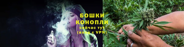 ПСИЛОЦИБИНОВЫЕ ГРИБЫ Абаза